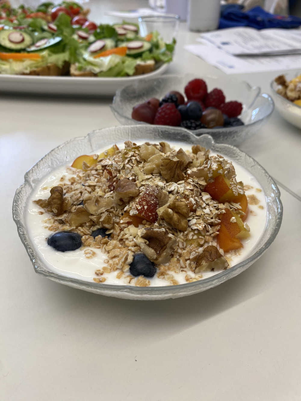 Ein Schälchen mit Joghurt, Beeren und Haferflocken, dahinter stehen mehr Beeren und mit Salat belegte Brote.