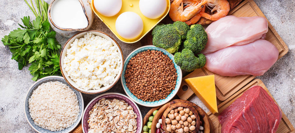 Aufsicht von oben auf verschiedene proteinreiche Lebensmittel, Eier, Käse, Milch, Getreide, Hülsenfrüchte, Hähnchenbrust, Rindfleisch, Garnelen, Broccoli