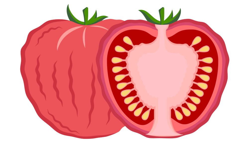 tomate-druckstelle-aufgeplatzt-12956.jpg