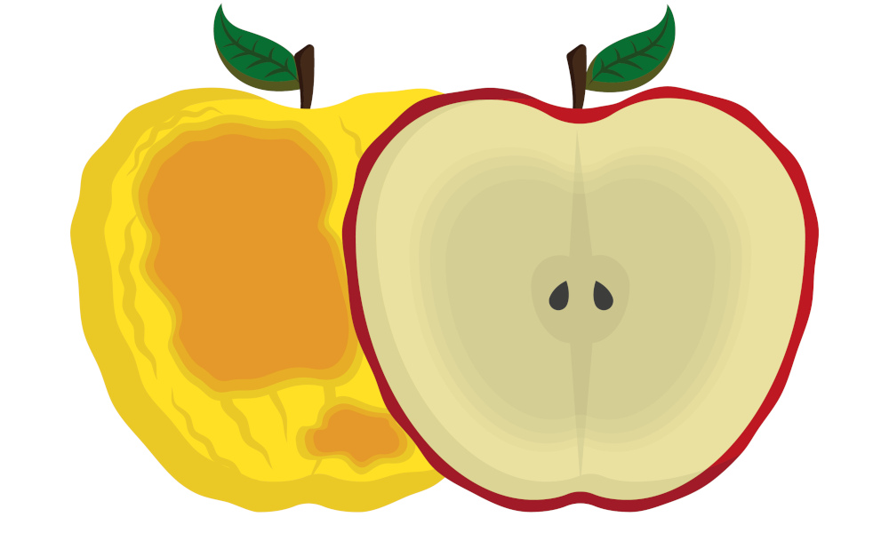apfel-schrumpelig-12947.jpg