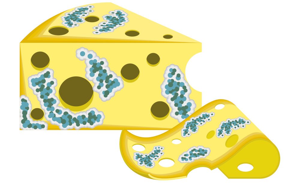 kaese-schimmel-ranzig-muffig-geruch-12963.jpg