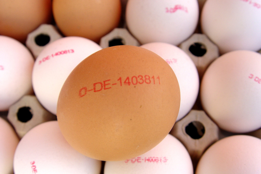 Ei mit Nummer: 0-DE-1403811