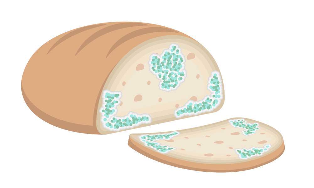 brot-schimmel-12951.jpg