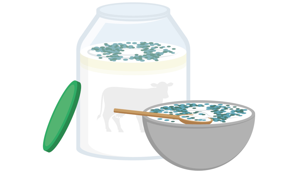 joghurt-schimmel-12954.jpg