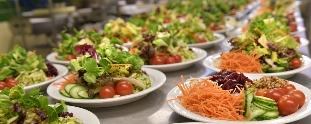 Viele Teller mit Salat und Gemüse in mehreren Reihen auf einer Anrichte.
