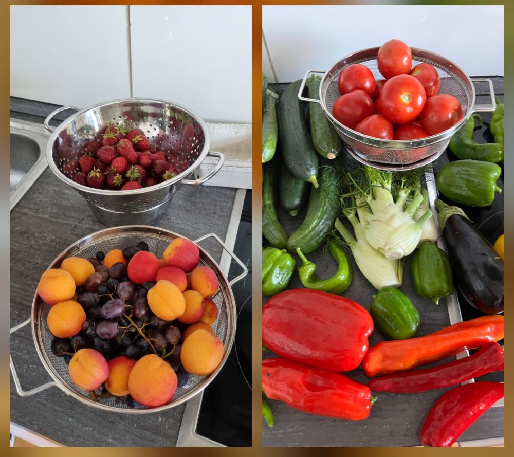 Obst und Gemüse in Schüsseln