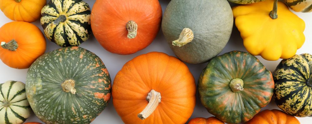 bunte Kürbisse von oben