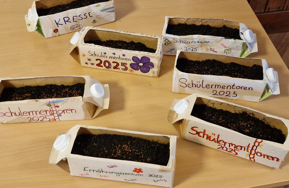 Erfolgreiche Projekte im Rahmen des Schülermentorenprogramms: Kresse in Milchkartons