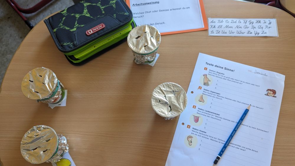 Vier Becher, die mit einer Alufolie mit Löchern verschlossen sind, stehen auf einem Tisch.