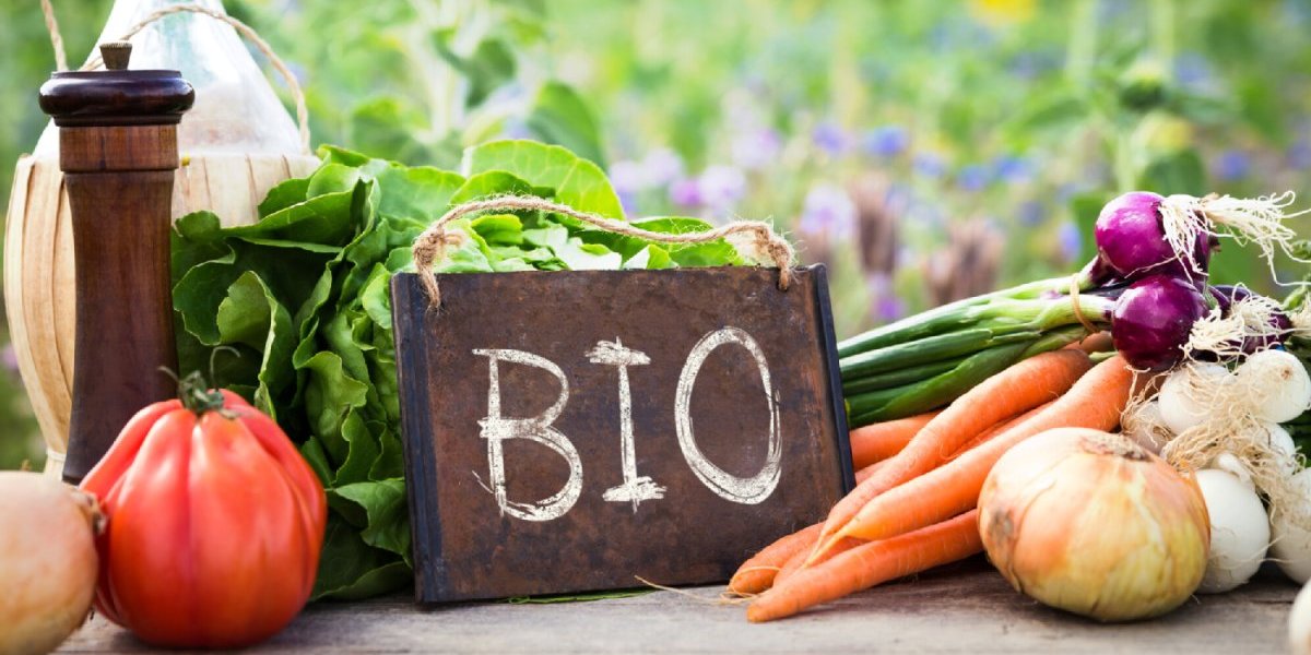 Web-Seminar: Bio-Zerti­fizierung in der Gemein­schafts­verpflegung – Möglich­keiten und Wege