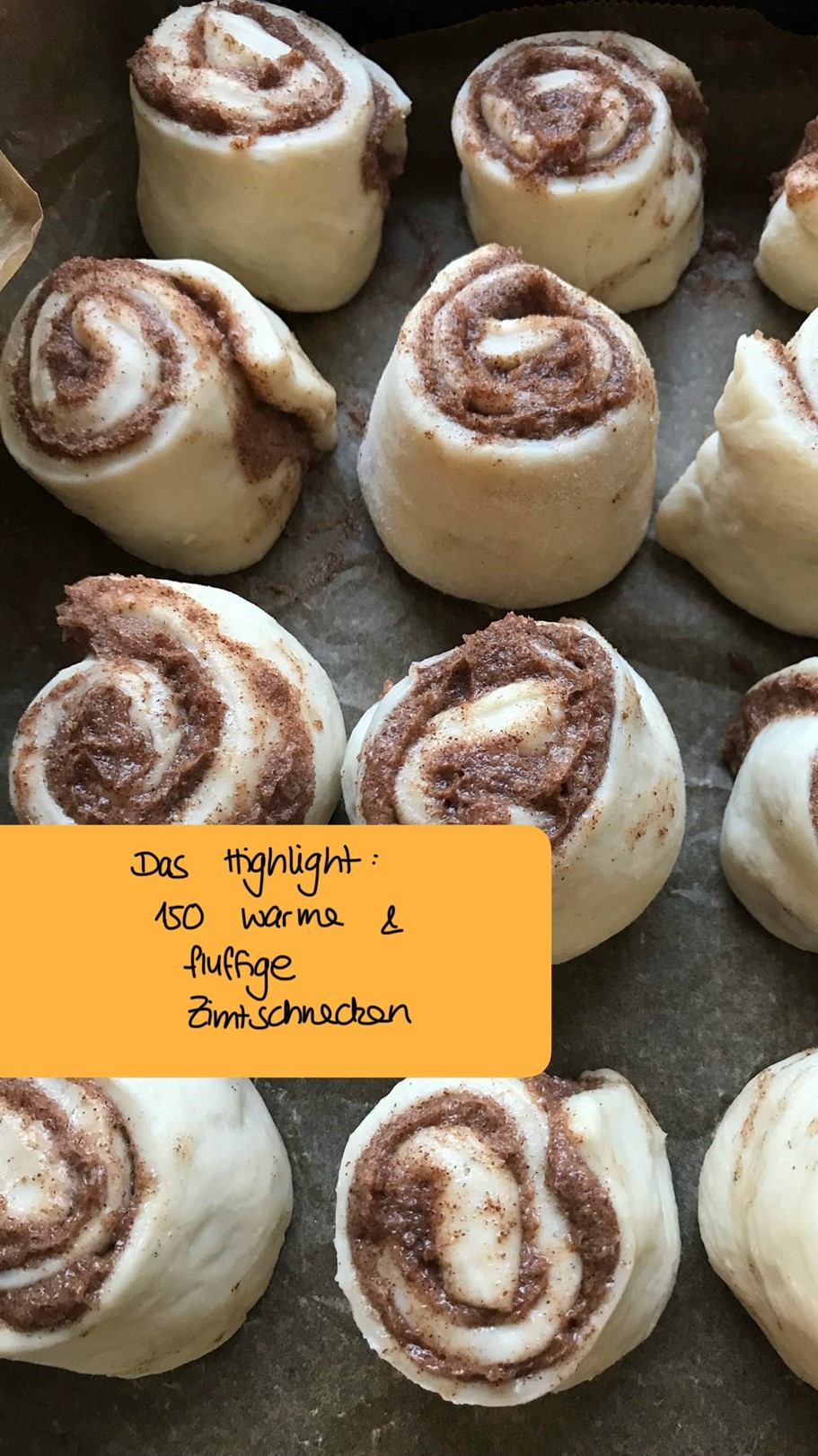 Das Highlight: 150 warme und fluffige Zimtschnecken