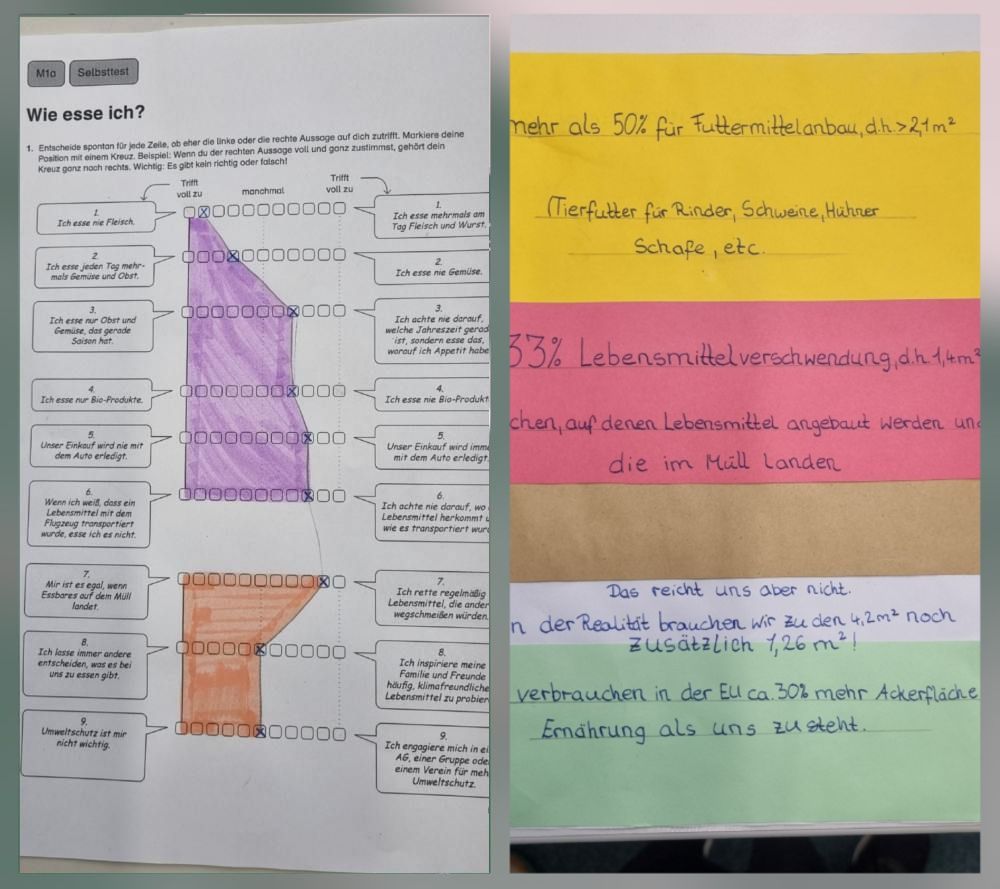 Selbsttest: Wie esse ich und Informationen zu Lebensmittelverschwendung